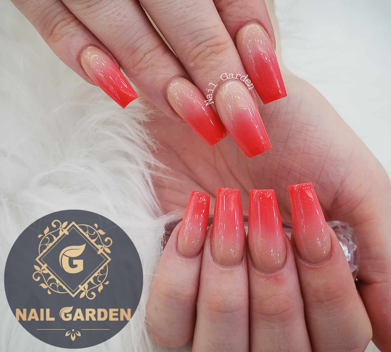 Nail Garden nail photo 6